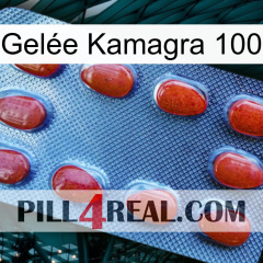 Gelée Kamagra 100 06